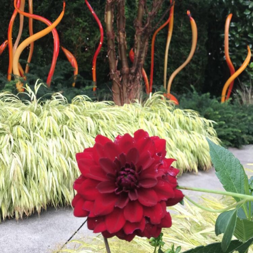 Meet your Posher, Christian